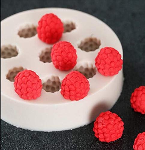 Raspberry Mold TM028