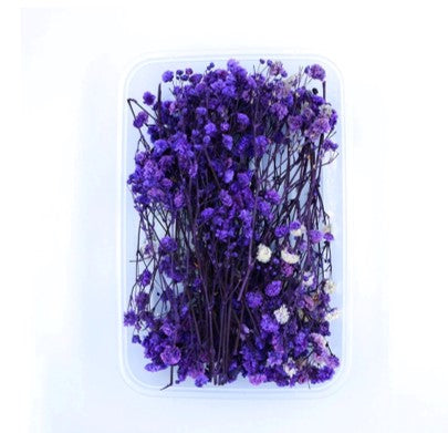 NDF001 to NDF006 Assorted flower Box