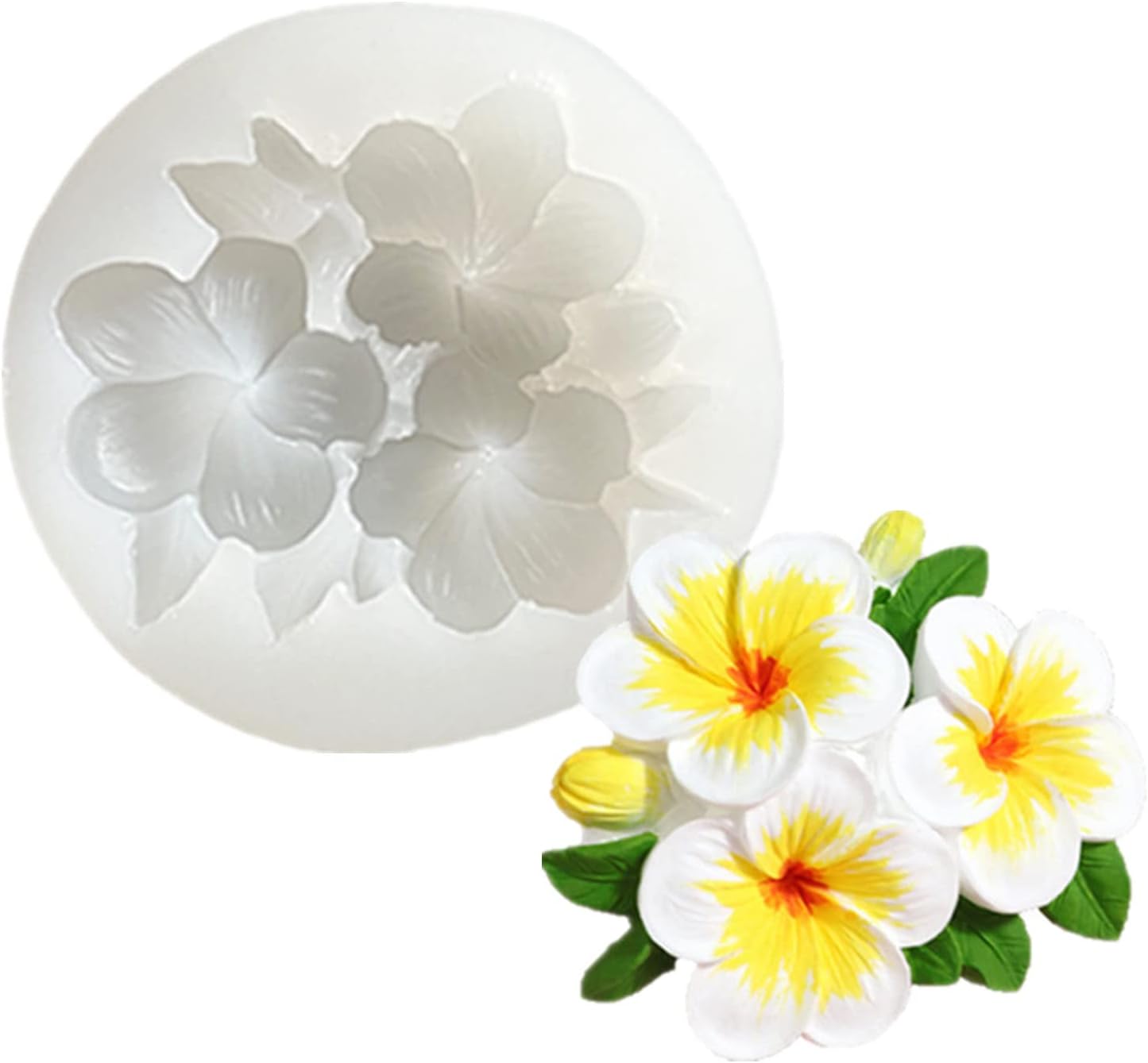 TM008 Frangipani Mold
