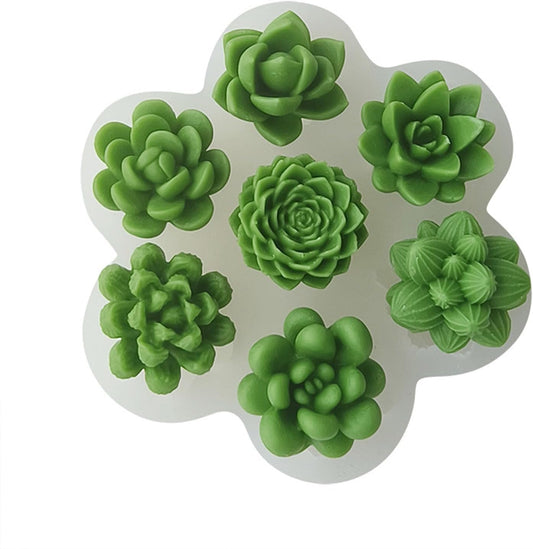 7 in 1 Cactus MOLD TM001