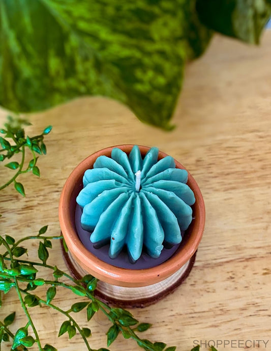 Round Cactus Mold GB164