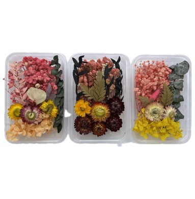 NDF001 to NDF006 Assorted flower Box