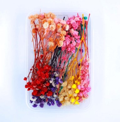 NDF001 to NDF006 Assorted flower Box