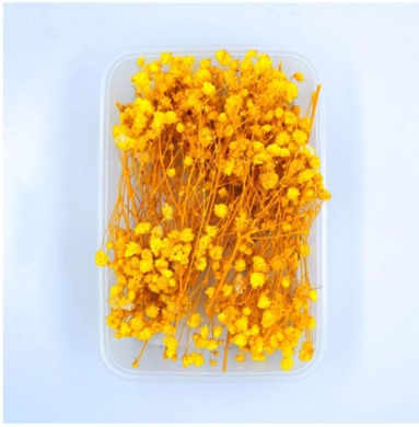 NDF001 to NDF006 Assorted flower Box