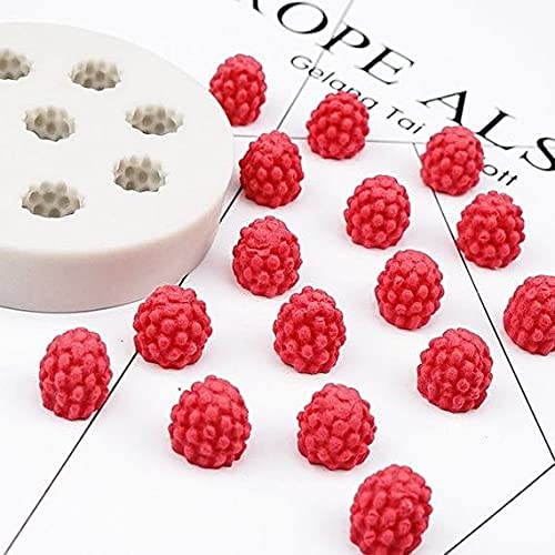TM028 Raspberry Mold