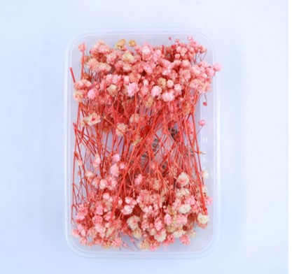 NDF001 to NDF006 Assorted flower Box