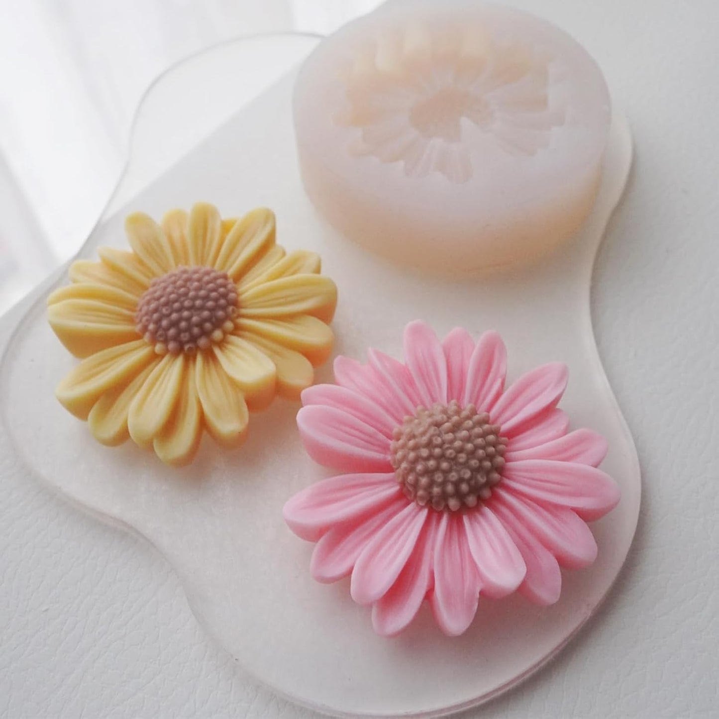 DAISY MOLD TM006