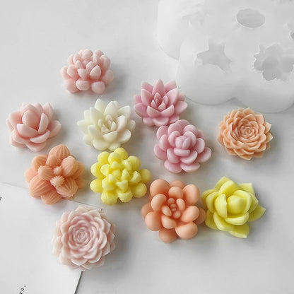 7 in 1 Cactus MOLD TM001