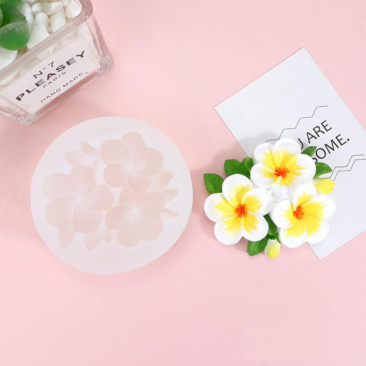 TM008 Frangipani Mold