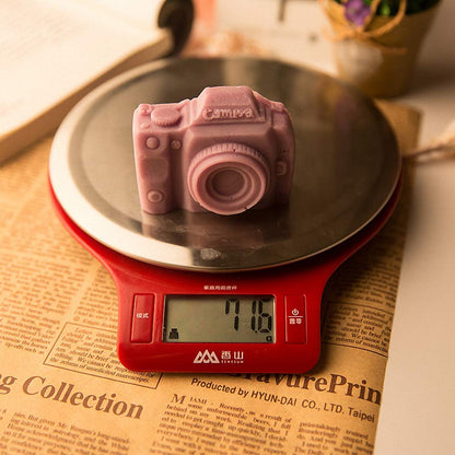 GB155 Camera Mold