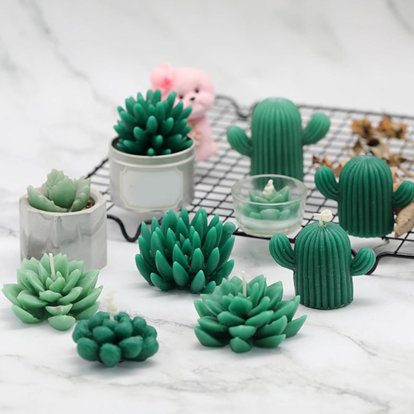 Succulent Set Mold GB200