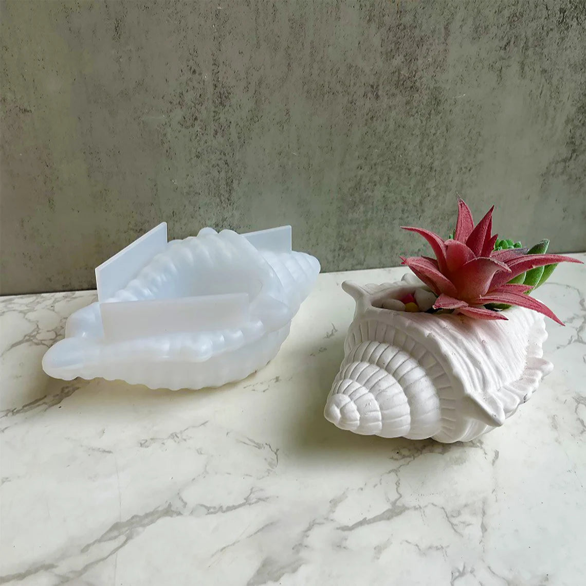 Big Shell Mold CRM008